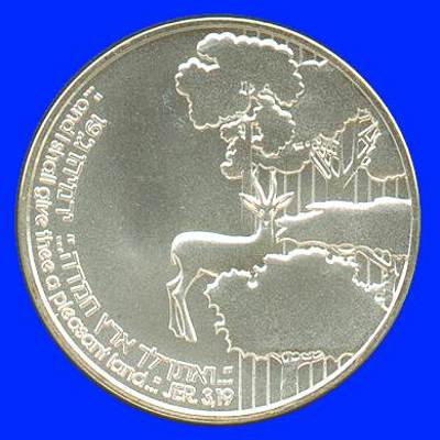 Promised Land Silver Coin