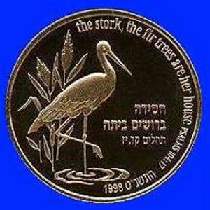 Stork Gold Coin