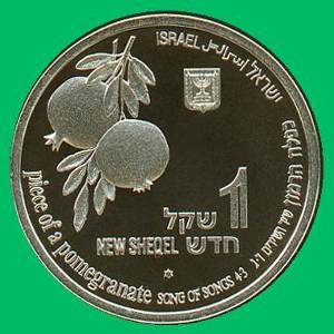 Lion Silver Coin